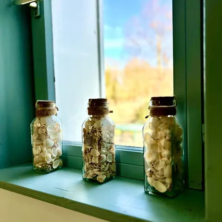 Entre Terre & Marais-plain-pied-plage A 15min-bbq *