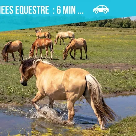 Entre Terre & Marais-plain-pied-plage A 15min-bbq Prázdninový dům Noyelles-sur-Mer